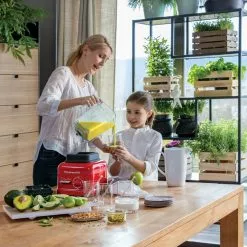 KitchenAid - ARTISAN High Power Blender - Queen Of Hearts 9 KitchenAid - ARTISAN High Power Blender - Queen Of Hearts -ISOLIERPLATTEN 33943 Standmixer High Power 5